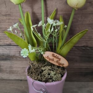 Anyák napi tulipán