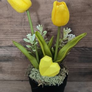 Anyák napi tulipán - sárga