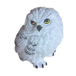 Hedvig (Harry Potter)