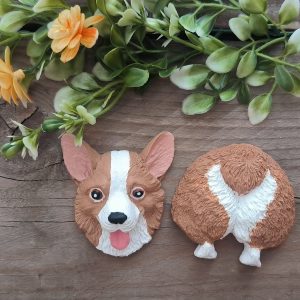 Corgi