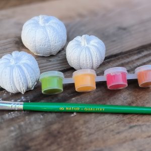 DIY - őszi tökfestő készlet